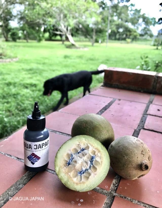 ゲニパアメリカーナ